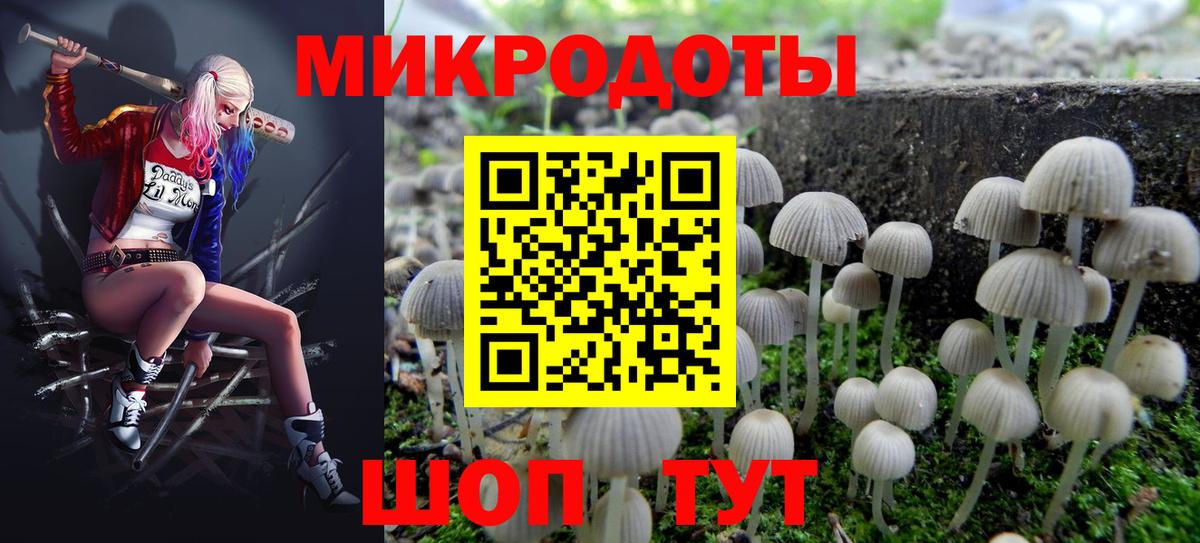 Галлюциногенные грибы прущие грибы  Вход с VPN  Галлюциногенные грибы прущие грибы  Мурманск 